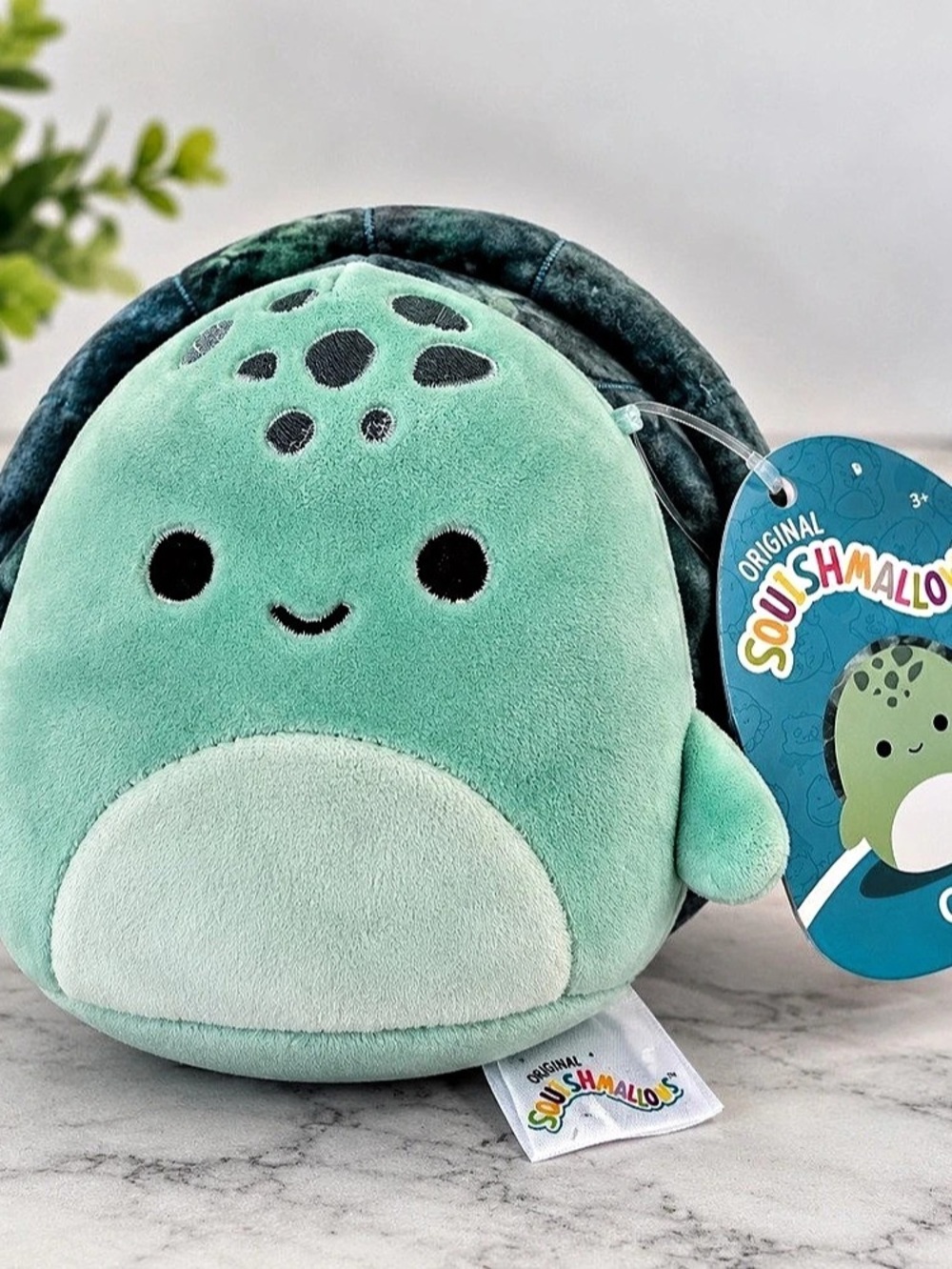 Squishmallows Cole the Turtle Green Plush 6”